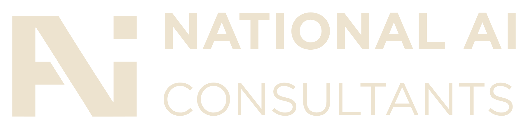 National AI Consultants